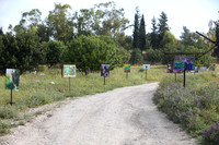 TF_Gezer_hm-24-0064