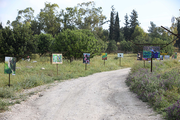 TF_Gezer_hm-24-0064