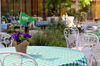 TFeder_DST-080525-0037