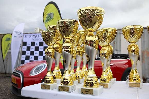 TF_MINI_COOPER-kart22_0520