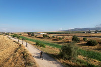 DJI_0175