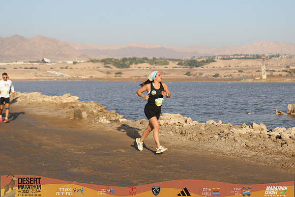 DA_edmr22-1585