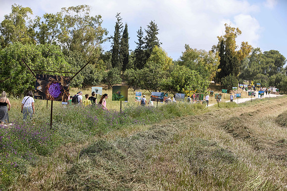 TF_Gezer_hm-24-0597