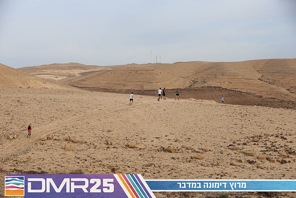 TF_DMR25-1038