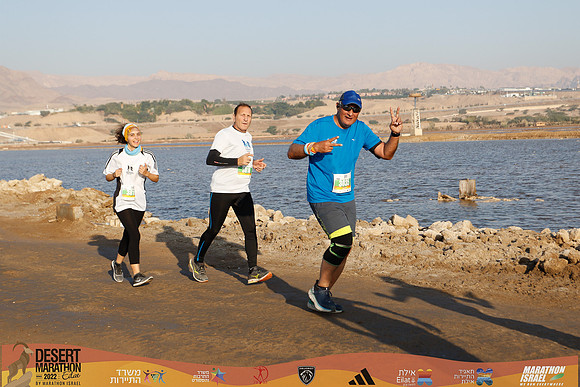 DA_edmr22-1595