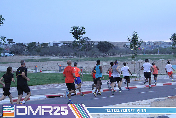 MP_DMR25-0125