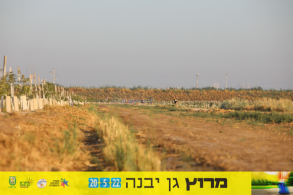 TF_gyr22-0072