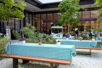 TFeder_DST-080525-0041