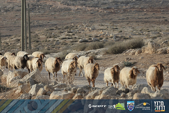 RT_Drorun24-0142