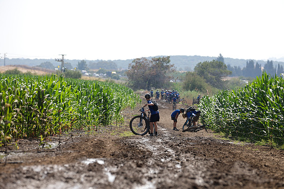 TFeder_BTE-220525-0693