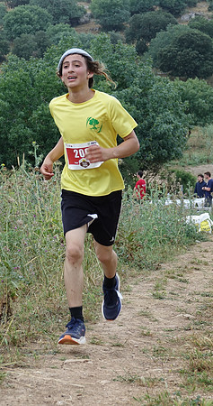 AT_TVR24-048