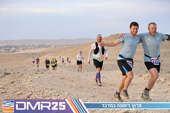 TF_DMR25-0391