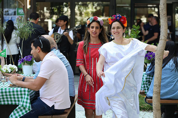 TFeder_DST-080525-0338