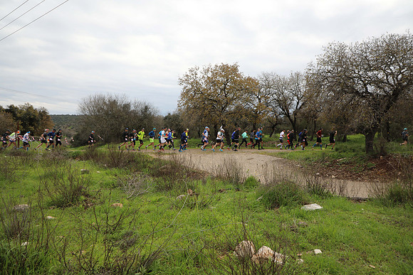 TFeder_DNF23-0529