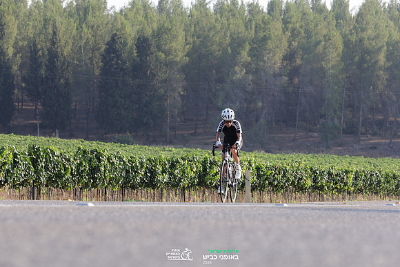 TFeder_ILC-Road24-0398