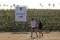 runi_Gilad_ 250404_6