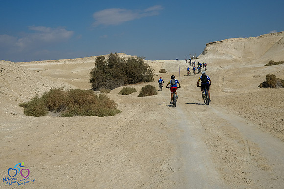 DZ_WOL24-0079