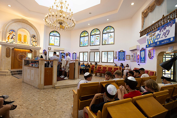TF_Omri_Shahar-bm-160724-0111