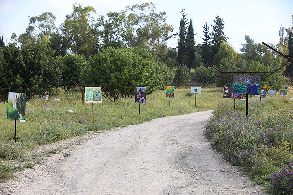 TF_Gezer_hm-24-0064