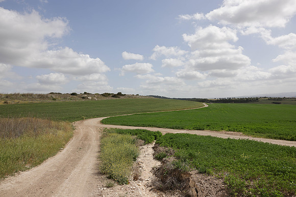 runi_Gilad_ 250404_342