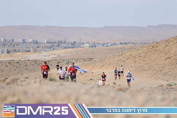 TF_DMR25-0477