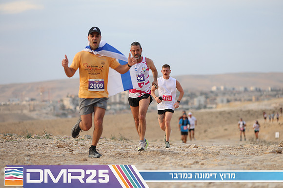 TF_DMR25-0325