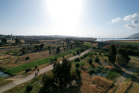 DJI_0180
