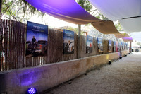 TF_F-estival-22-0622