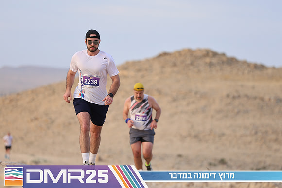 TF_DMR25-0449
