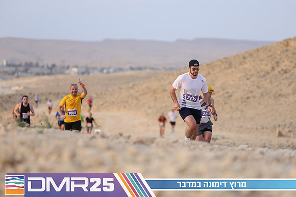 TF_DMR25-0447