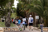 runi_Gilad_ 250404_693