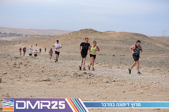 TF_DMR25-0183