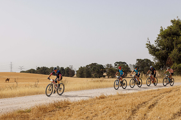 AR_spl24-0082