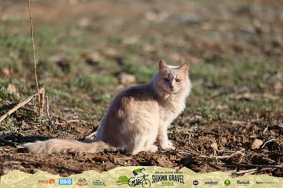 OE_grr24-1059
