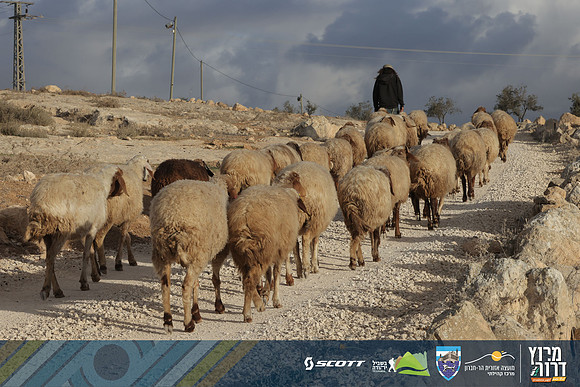RT_Drorun24-0147