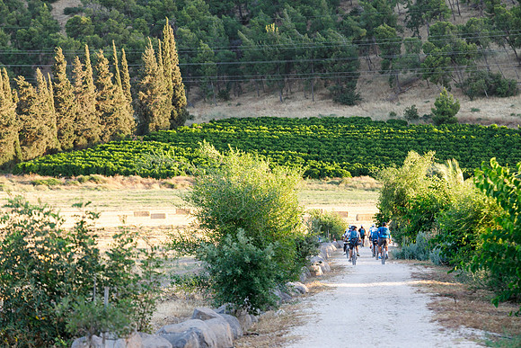 TF_gbs-ey-110620-0901