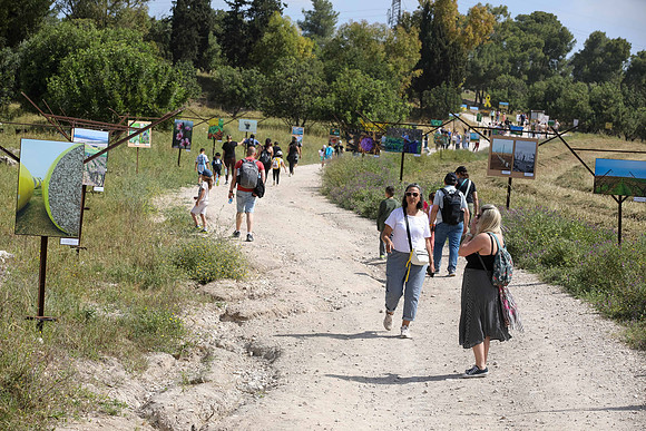 TF_Gezer_hm-24-0583
