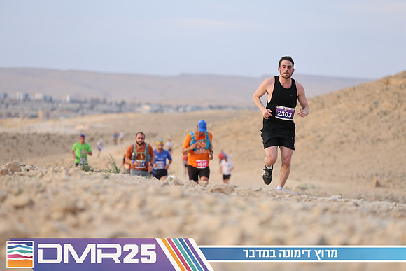 TF_DMR25-0459
