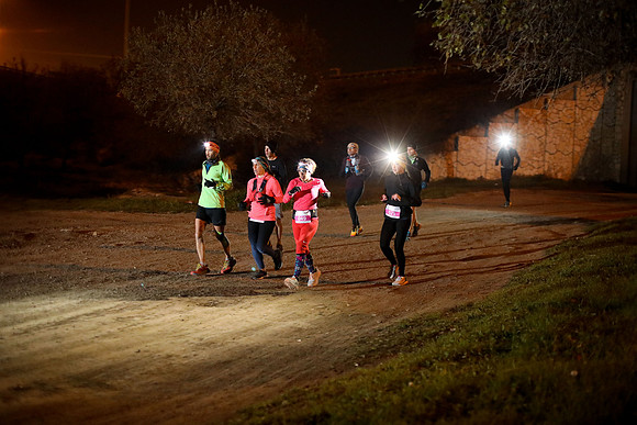 TFeder_DNF23-2324