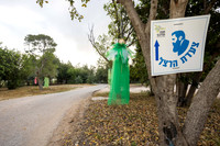 TF_Gezer_hm-24-0008