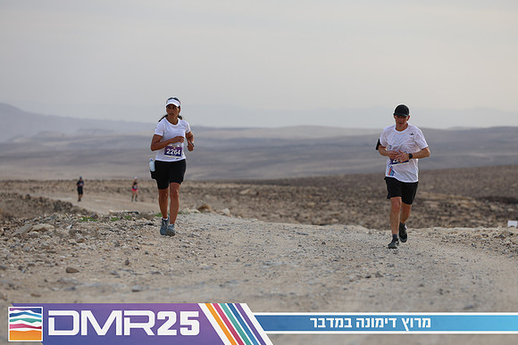 TF_DMR25-0976