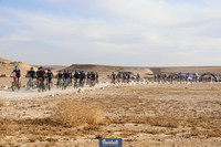 TF-BDT-190225-0426