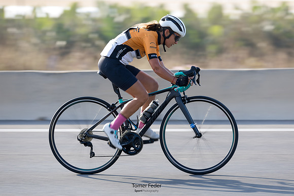 TFeder_ILC-ITT24-0498