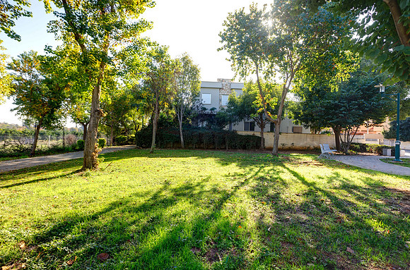 TF_Gedera_Park-20