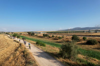 DJI_0173