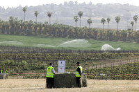 runi_Gilad_ 250404_2