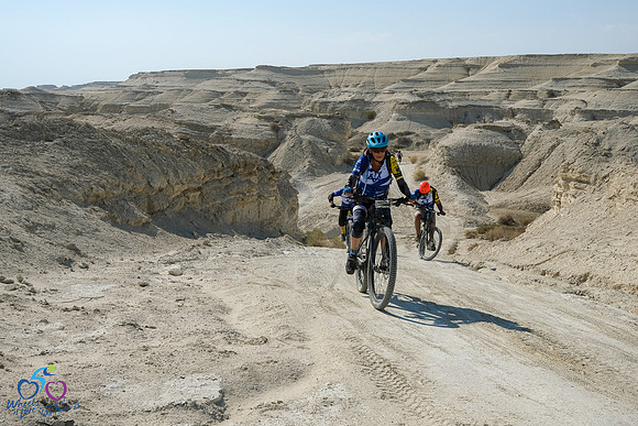 DZ_WOL24-0083
