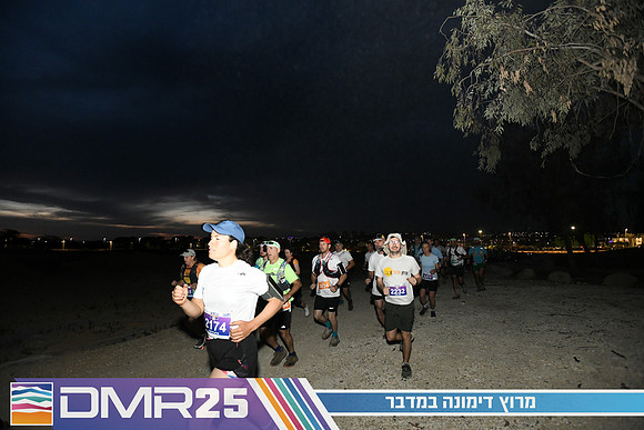EY_DMR25-0132