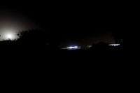 TFeder_dorot-nr-070