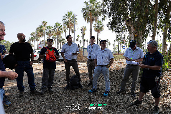 TFeder_ILC-ITT24-1247